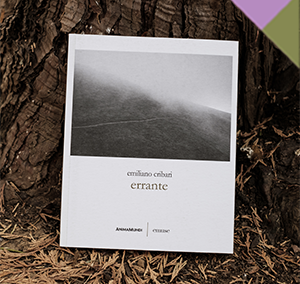 6 | ERRANTE – Passeggiata letteraria con Emiliano Cribari