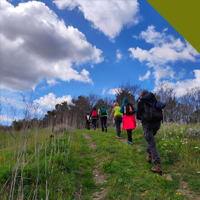 39 | IL SACRO MONTE PISANO E IL SUO OLIMPO con Gruppo Ippolito Rosellini e Comunità del Bosco del Monte Pisano